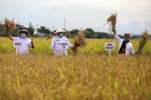 Menteri Pertanian Dukung Pengembangan Ekonomi Petani di Aceh