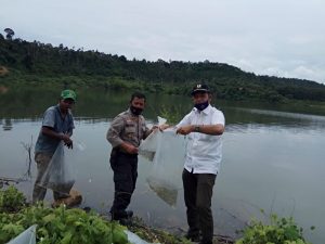 Tingkatkan Populasi Ikan, Kapolsek Kuta Makmur bersama DKP Aceh Utara Tebar Benih Ikan di Waduk Lhok Gajah