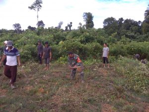 Babinsa Koramil 03/Teupah Selatan Gotong Royong Bersama Warga Masyarakat Membuat Lapangan Volly