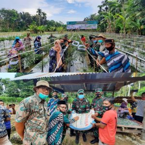 Ka Tim Aswasbinsat Bersama Dandim 0115/Simeulue Panen Cabe dan Berikan Bantuan 1 Ton Pupuk Pada Pemuda Desa Ujung Tinggi