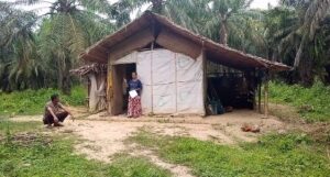 Rumah Terpal di Aceh Timur Kian Menjamur Hiasi Desa-Desa